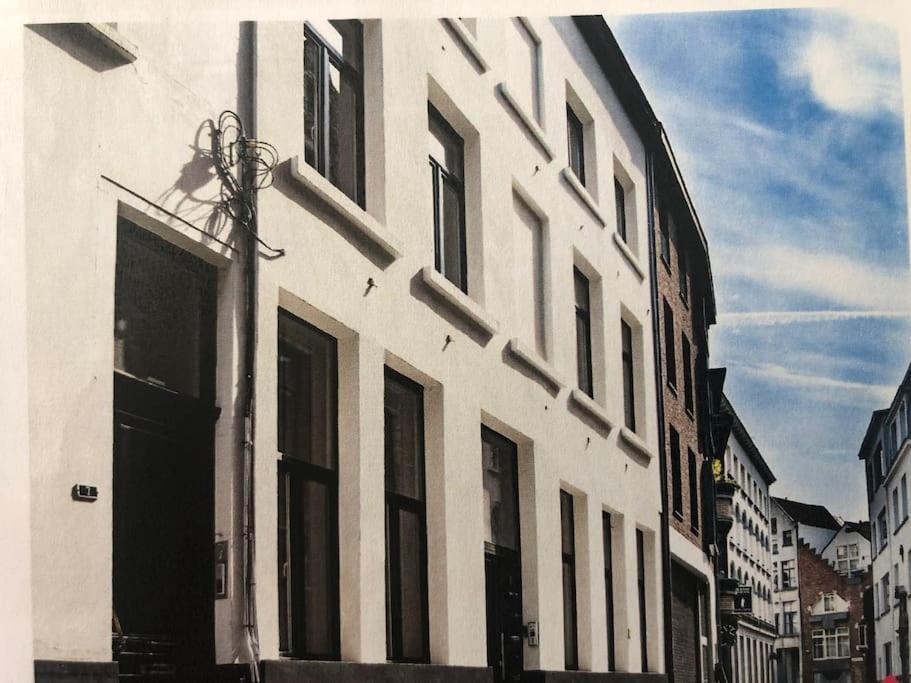 Hippe Studio In Historisch Gebouw In Oude Centrum アントウェルペン エクステリア 写真